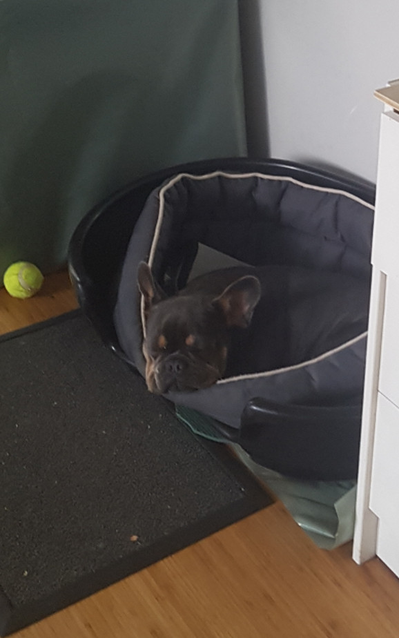 64 / 64 - Skadet 231001